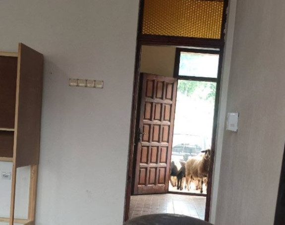 "Nenajavljeni gosti" na biračkom mjestu u CG (FOTO)