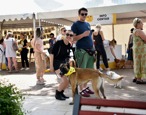 Dogs Trust organizovao veliko druženje u Mostaru