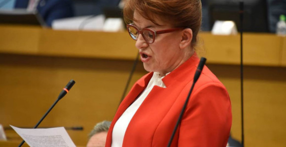 Vidović potvrdila da prosvjetari nisu dobili plate