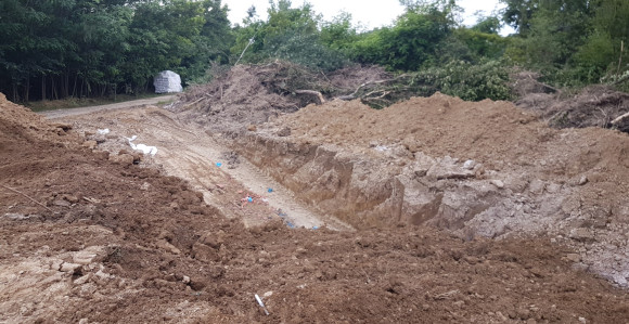 BN: Nastavljeno eutanaziranje zaraženih svinja