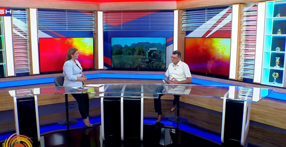 Prinos pšenice znatno smanjen, zbog lošeg vremena