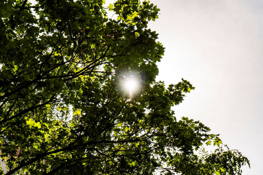 Danas sunčano, temperatura do 33 stepena