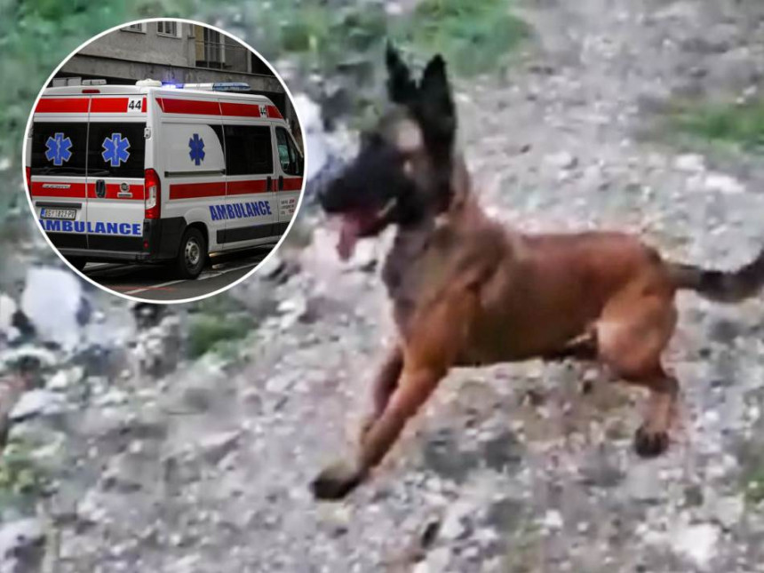 Detalji užasa u Sremčici: Izujedano dijete (4) stabilno