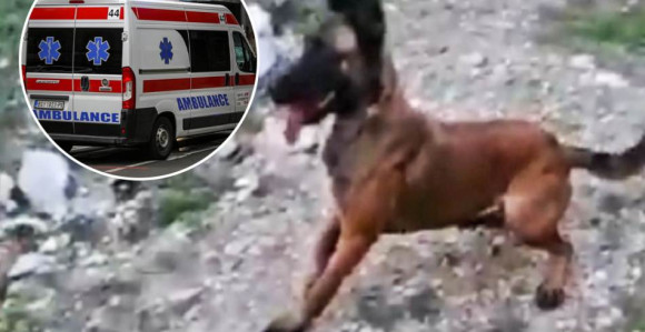 Detalji užasa u Sremčici: Izujedano dijete (4) stabilno