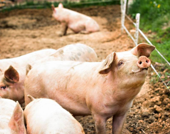 Poljoprivrednici traže proglašenje vanrednog stanja