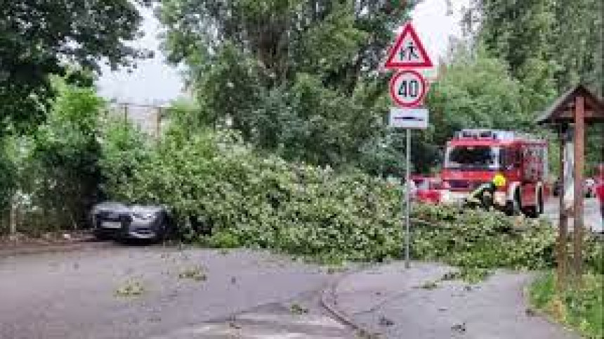 Jak vjetar čupao drveće u Karlovcu i Zagrebu
