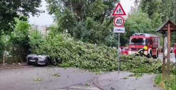 Jak vjetar čupao drveće u Karlovcu i Zagrebu