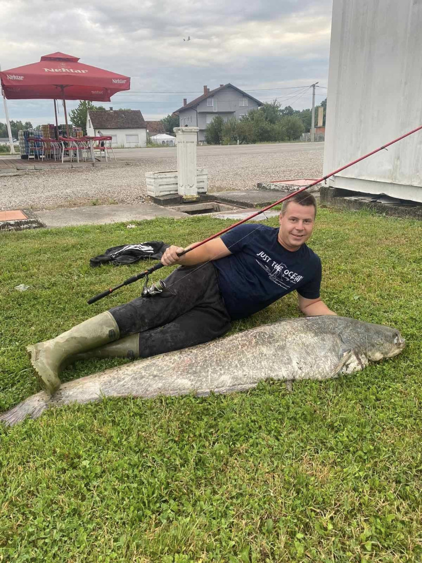 Srbački ribolovci "pretplaćeni" na somove - kapitalce