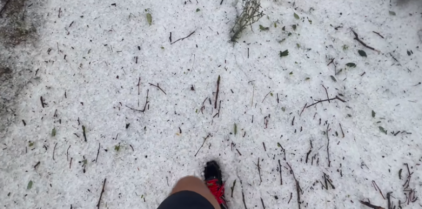 Snažno nevrijeme pogodilo Sloveniju, stabla počupana