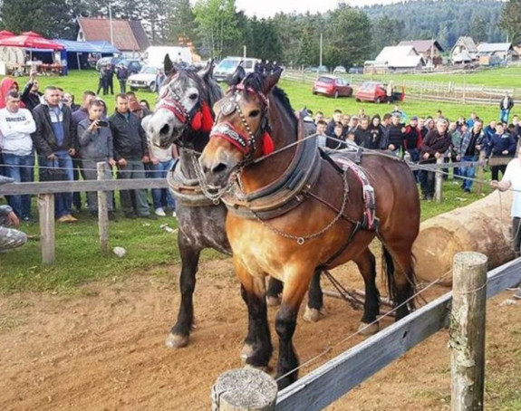 Пијани се потукли на штрапаријади, па пријетили полицајцу