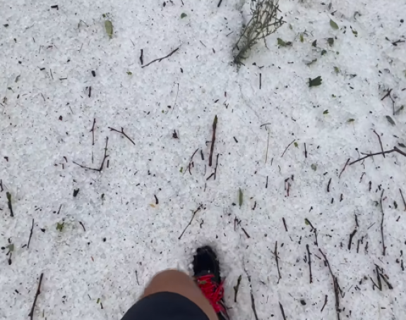 Snažno nevrijeme pogodilo Sloveniju, stabla počupana