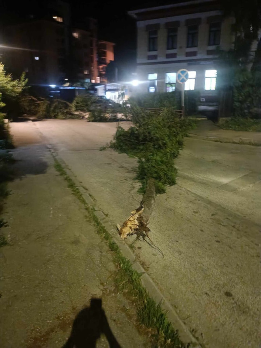 Snažno nevrijeme širom BiH: Vjetar čupao stabla