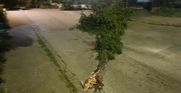 Snažno nevrijeme širom BiH: Vjetar čupao stabla