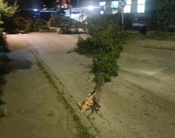 Snažno nevrijeme širom BiH: Vjetar čupao stabla