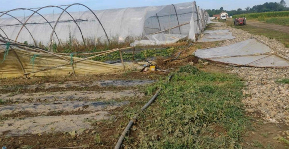 Potrebna pomoć svih nivoa vlasti poljoprivrednicima