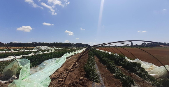 Sutra stiže novo olujno nevrijeme, biće dosta problema