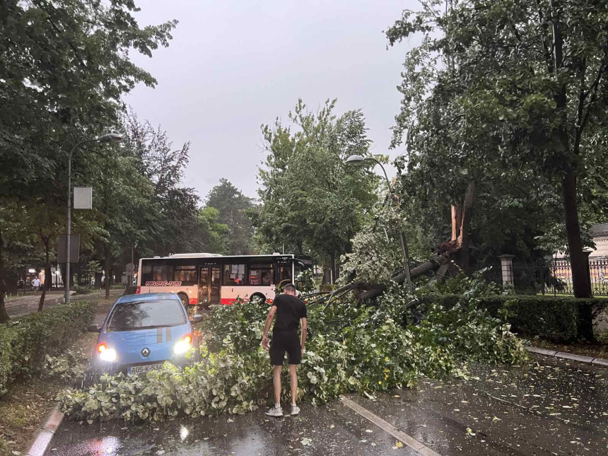 Vjetar oborio dio stabla u Aleji Svetog Save