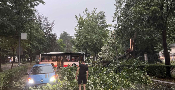 Vjetar oborio dio stabla u Aleji Svetog Save