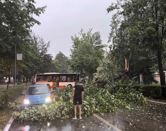 Vjetar oborio dio stabla u Aleji Svetog Save