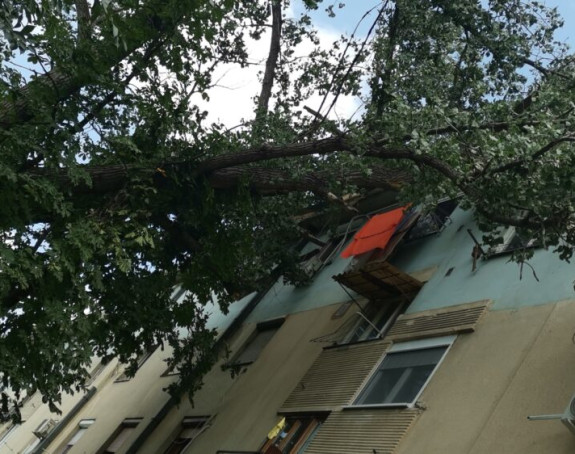 Stablo uletjelo u sobu: Komunalno im reklo...