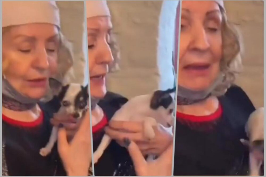 Lepu Lukić ujeo pas usred restorana!