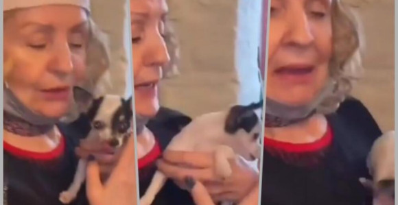 Lepu Lukić ujeo pas usred restorana!