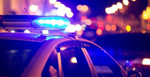 Radoja Zvicera kriju ljudi u Južnoj Americi