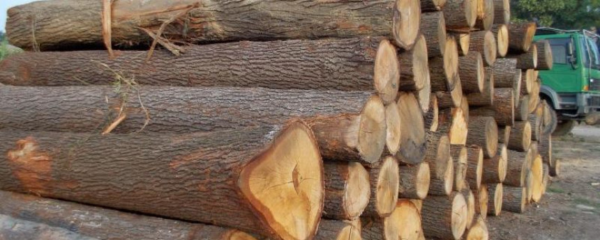 Дончић пита власт: Зашто је ШГ Градишка од стабилног предузећа постало губиташ?