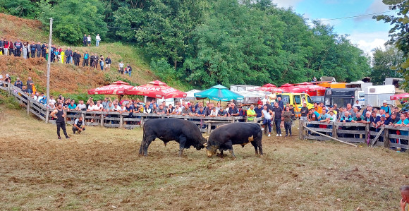 Bik Miško pobjednik 251. Grmečke koride