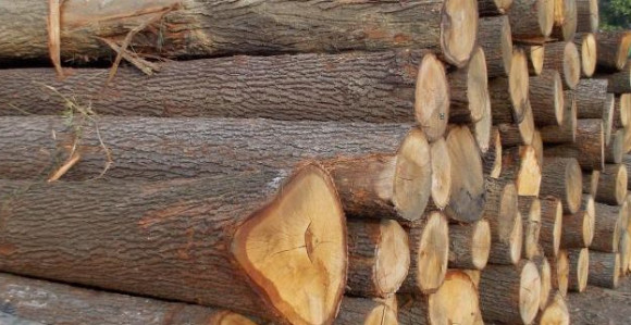 Дончић пита власт: Зашто је ШГ Градишка од стабилног предузећа постало губиташ?