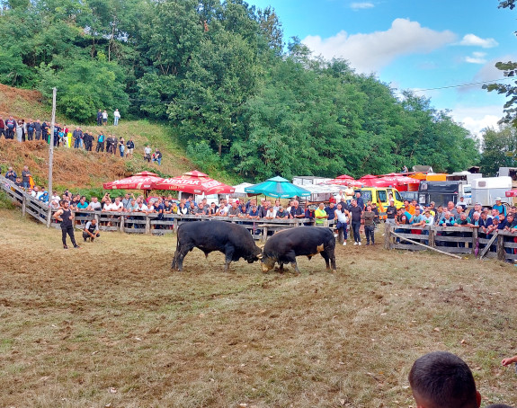Bik Miško pobjednik 251. Grmečke koride