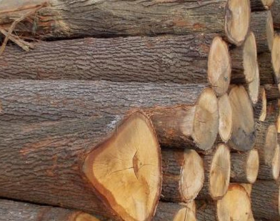 Dončić pita vlast: Zašto je ŠG Gradiška od stabilnog preduzeća postalo gubitaš?