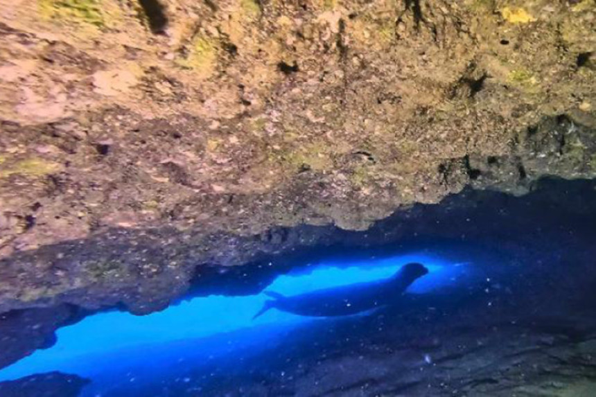 Poslije više od pola vijeka došla u goste u Ulcinj (VIDEO)