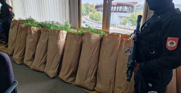 Pronađeno 172 kg marihuane, uhapšen muškarac iz Lopara