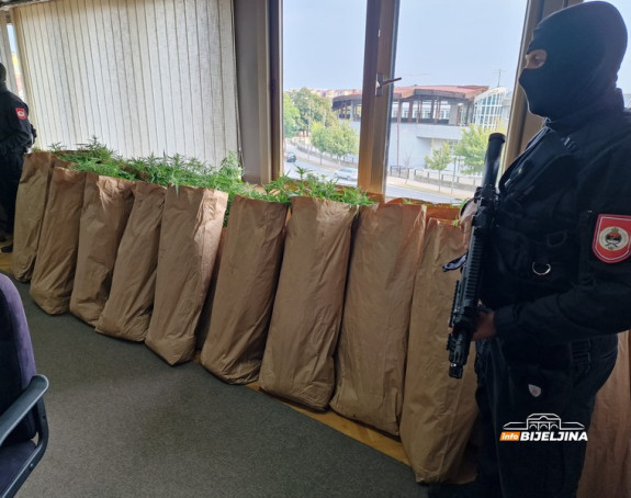 Пронађено 172 кг марихуане, ухапшен мушкарац из Лопара