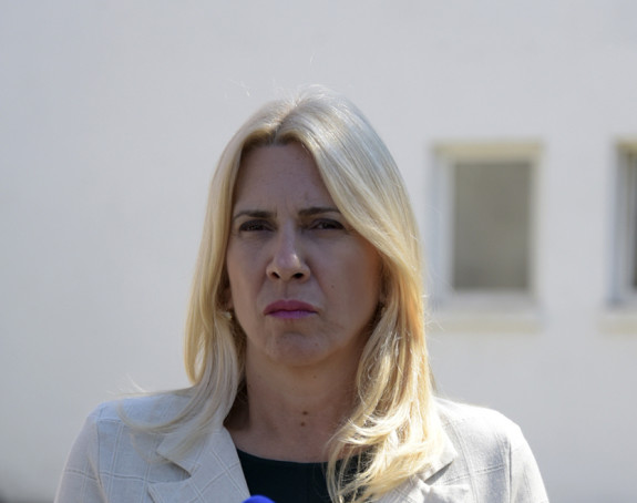 Cvijanovićeva o posjeti Kijevu: Posjeta je kabinetska