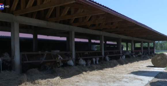 Stotine miliona za poljoprivredu ostaje neiskorišteno