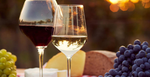 Reforma: Šta donosi novi Zakon o vinima u BiH?