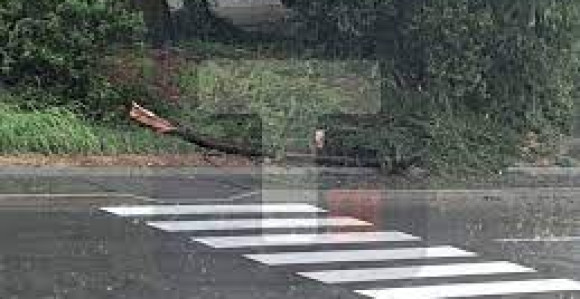 Slovenija: Vjetar čupao krovove, poplavljeni putevi