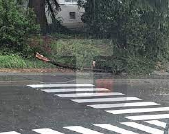 Slovenija: Vjetar čupao krovove, poplavljeni putevi