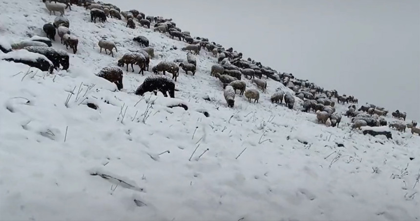 Temperatura pala za 30 stepeni, padao snijeg na Alpama