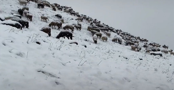 Temperatura pala za 30 stepeni, padao snijeg na Alpama