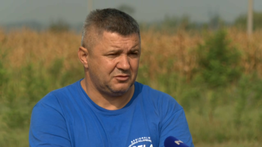 Ubijeno 30.000 svinja zbog kuge: “Ljudi su očajni…”
