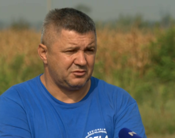 Ubijeno 30.000 svinja zbog kuge: “Ljudi su očajni…”