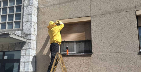 Trebinje: Najezda osa i stršljenova u haustorima