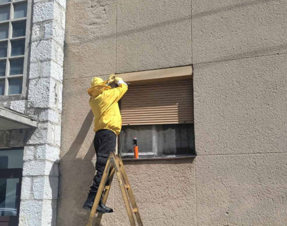 Trebinje: Najezda osa i stršljenova u haustorima