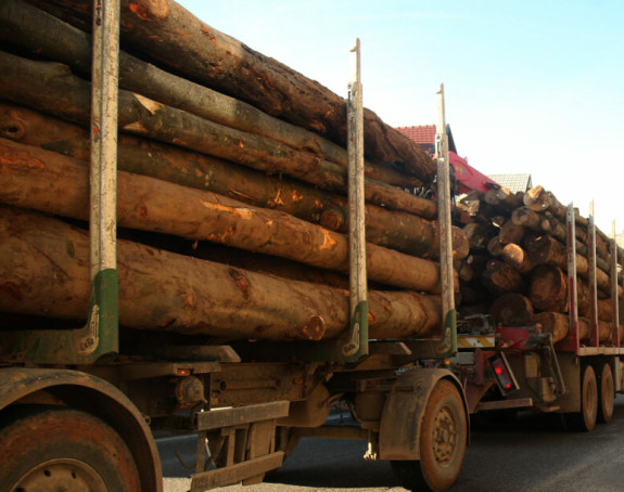 Šume Republike Srpske i ove godine klize u minus