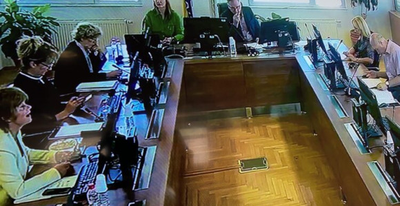 Biljana Simeunović podnijela ostavku na funkciju u VSTS-u