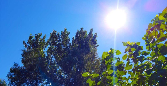 Danas pretežno sunčano, do 34 stepena danas