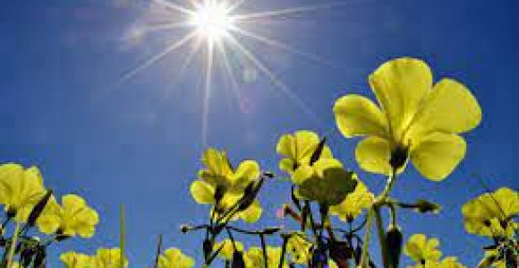 Pretežno sunčano i toplije vrijeme, temperatura do 31